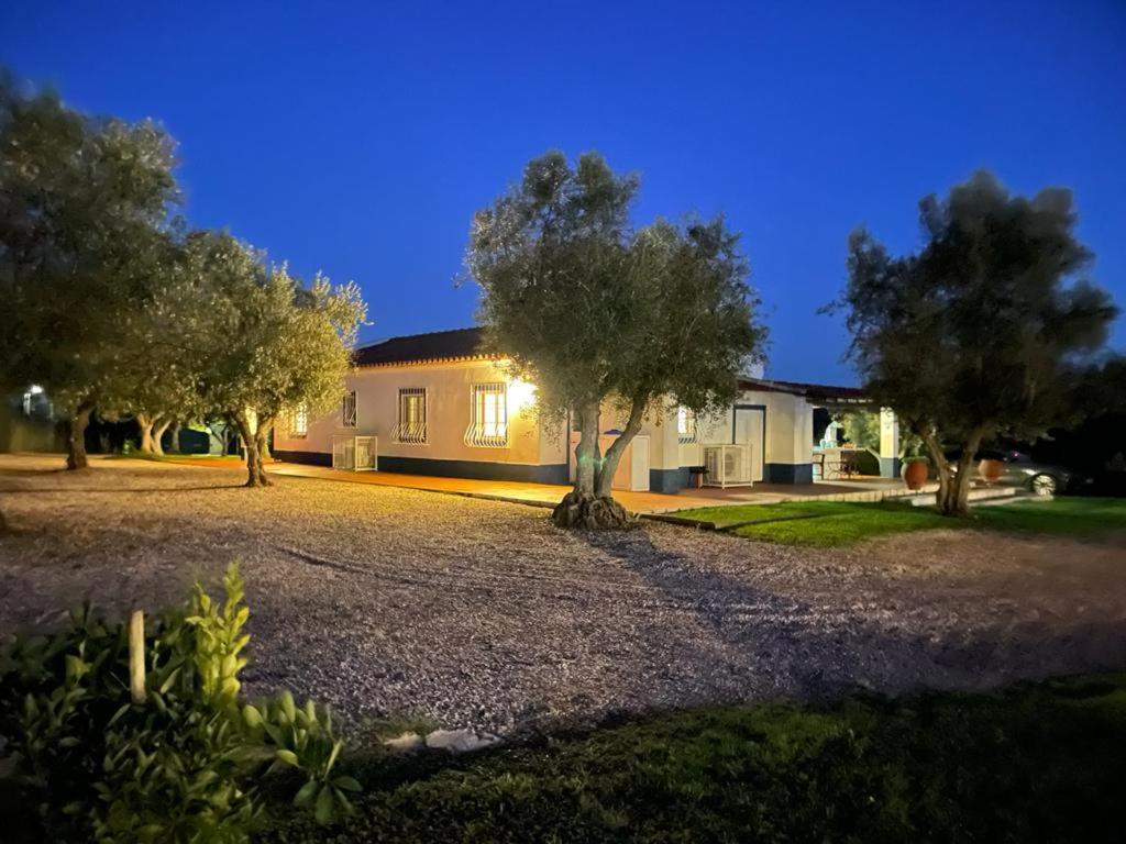 Casa Das Oliveiras Avis Exterior foto