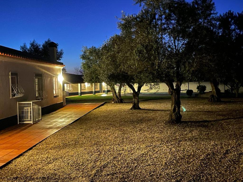 Casa Das Oliveiras Avis Exterior foto